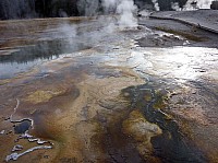 Yellowstone Old faithfull et ses environs (24).JPG
